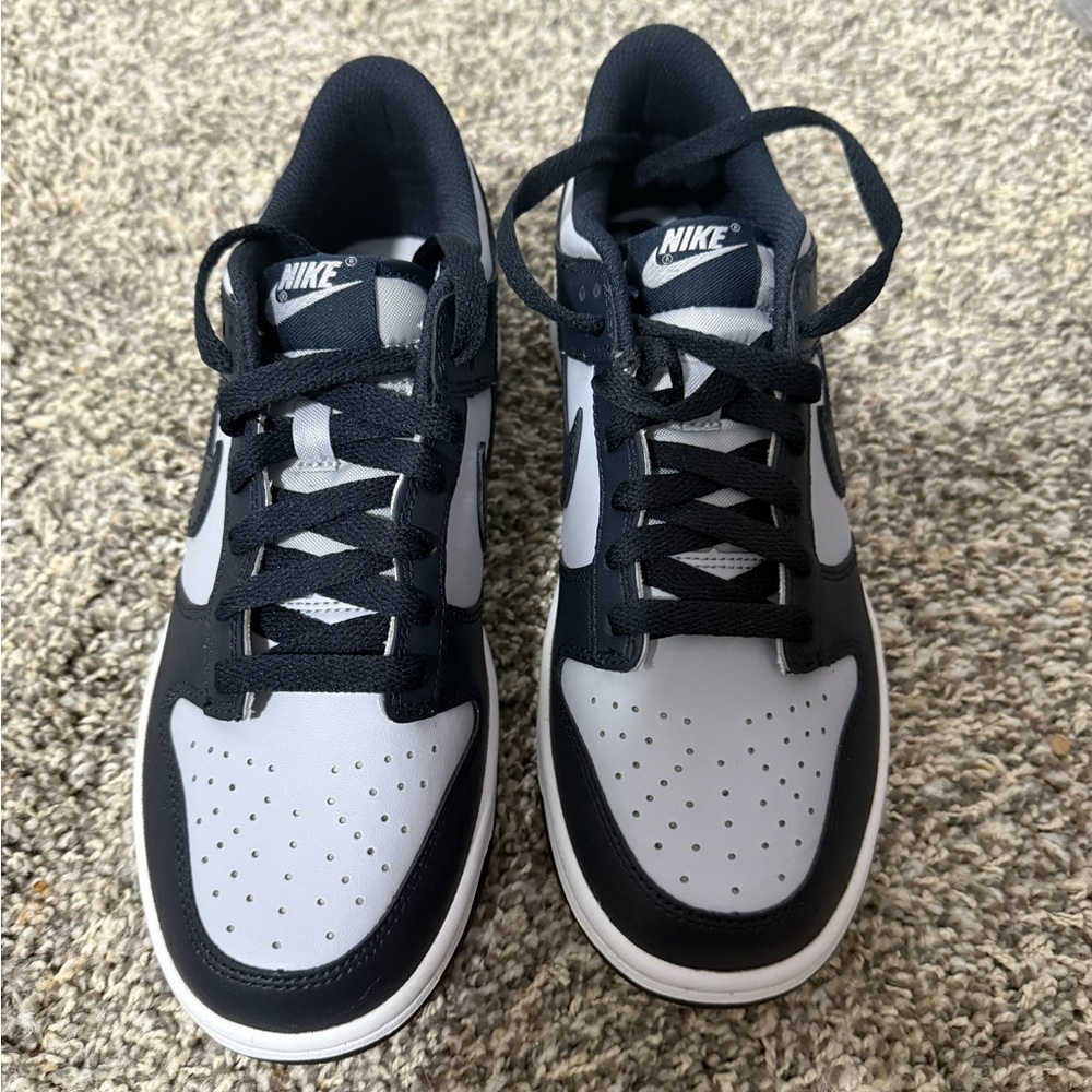 Nike Georgetown Dunks